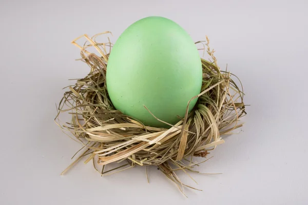Green easter egg in nest isolated on white — Stock Photo, Image