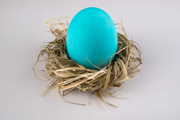 Huevo de Pascua azul en el nido aislado en blanco —  Fotos de Stock