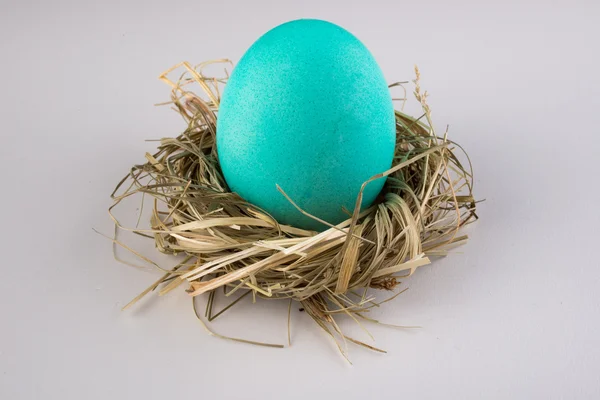 Blue  green easter egg in nest isolated on white — Stock Photo, Image