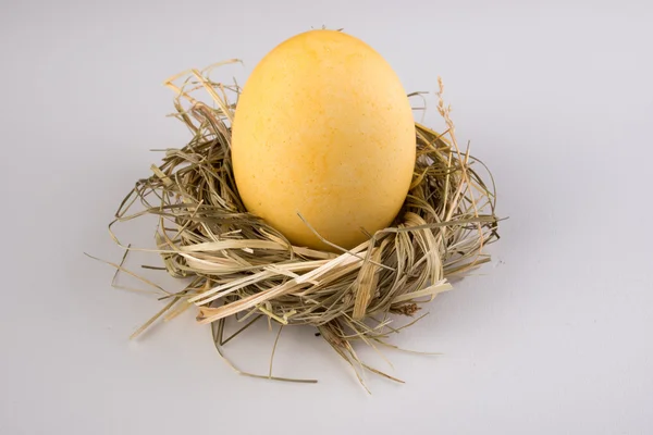 Yellow easter egg in nest isolated on white — Stock Photo, Image