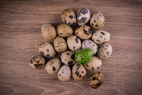 Spotted Quail eggs with one green egg on wooden background — Stock Photo, Image