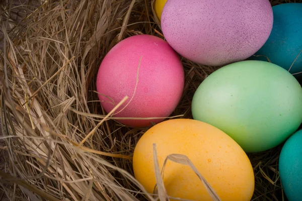 Easter nest with colored eggs — Stock Photo, Image