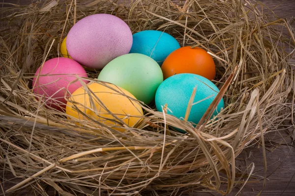 Nido de Pascua con huevos de colores —  Fotos de Stock