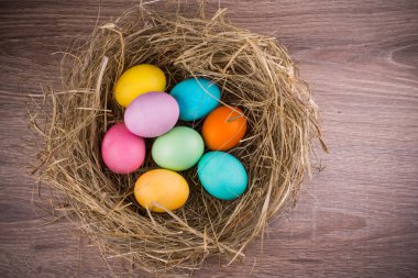 renkli yumurta Paskalya yuva 