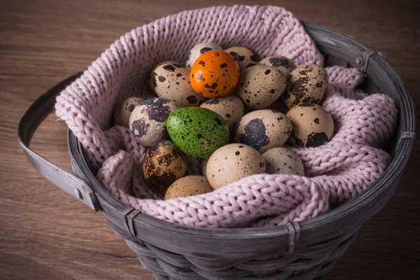 Quail eggs  in a basket and  one orange , green egg with pink knit — Stock Photo, Image