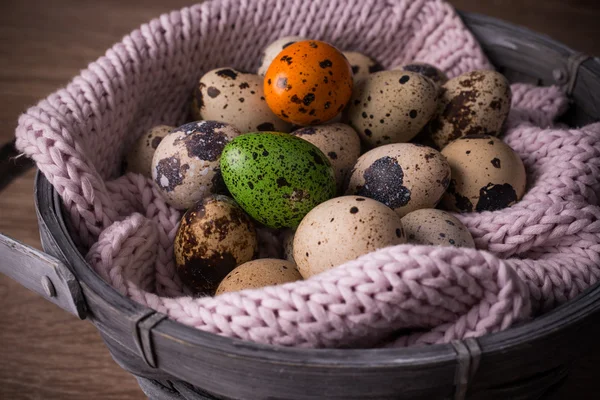 Quail eggs  in a basket and  one orange , green egg with pink knit — Stock Photo, Image