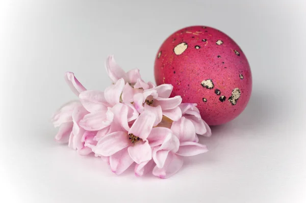 Pink easter quail egg with flower isolated on white — Stock Photo, Image