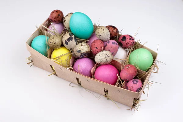 Huevos coloridos de Pascua en caja de embalaje aislada —  Fotos de Stock