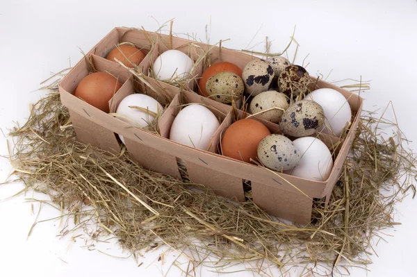 Beyaz ve kahverengi yumurta saman kutusunda arka plan üzerinde izole — Stok fotoğraf