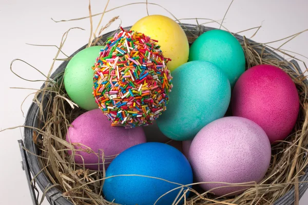 Colored easter eggs and one covered with sprinkles in nest isolated — Stock Photo, Image