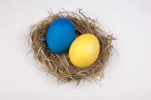 Uova di Pasqua gialle e blu in nido isolato su bianco — Foto Stock