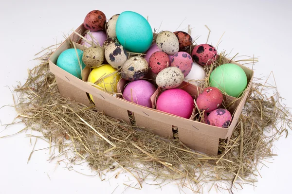 Huevos coloridos de Pascua en caja de embalaje aislada —  Fotos de Stock