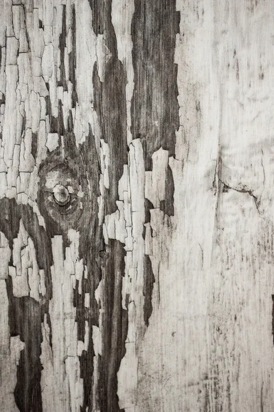 Texture in legno bianco con motivi naturali — Foto Stock