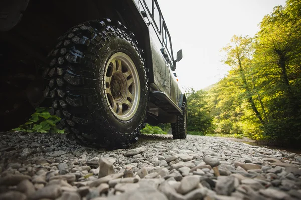 Car driving in forest with no road — Stock Photo, Image