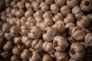 Sarımsak arkaplanını kapat