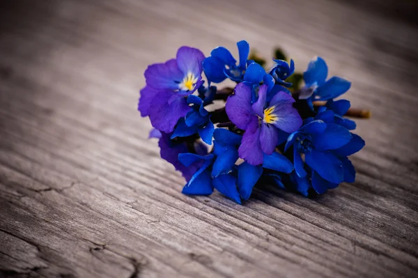 Blumenstrauß aus violetten Blumen viola odorata auf einem hölzernen Hintergrund — Stockfoto