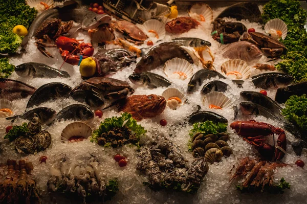 Mariscos expuestos en hielo frente al restaurante — Foto de Stock