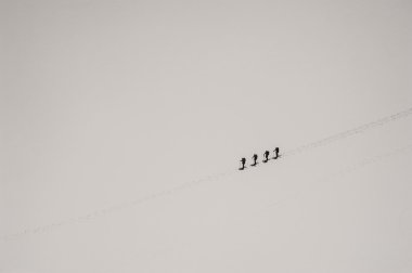  mont blanc doğru yola alpinists grubu 