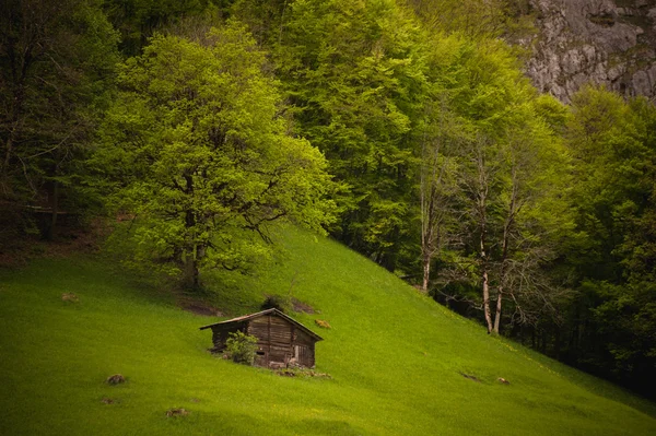 Oude houten hut in de buurt van de berg en bos — Stockfoto