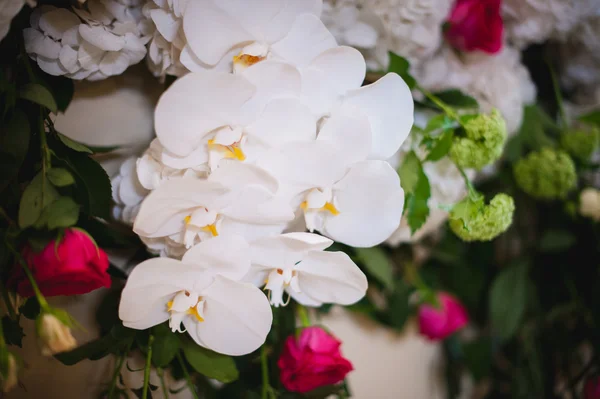 Close up de orquídea branca em buquê — Fotografia de Stock