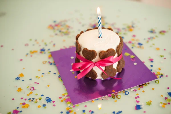 Gâteau d'anniversaire pour chien avec biscuits aux os, ruban, bougie — Photo