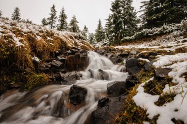 Kış nehir manzara orman 
