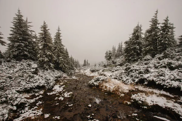 Donkere rivier in de winter bergbos. — Stockfoto