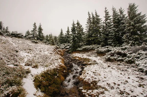 Rivière enneigée de montagne en hiver — Photo