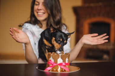 kadın ve oyuncak terrier köpek pasta doğum günü partisi üzerinde infront ile 