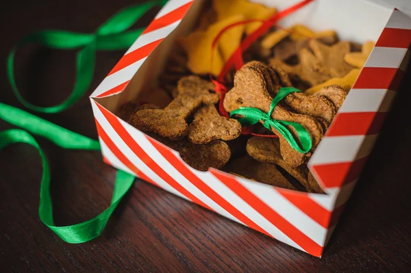 Homemade dog bones shaped cookies in open box — Stock Photo, Image