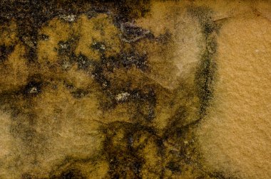 hafif kahverengi taş Rock doku