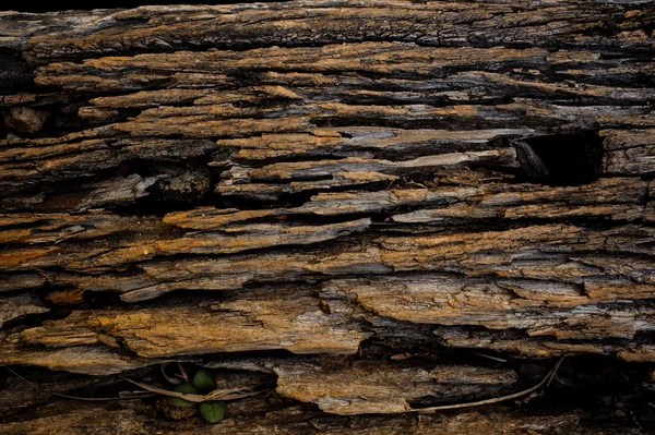 Staré dřevo přírodní pozadí horizontální textura — Stock fotografie