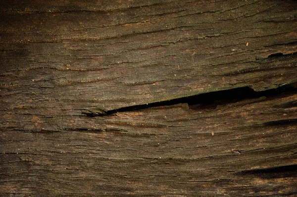 Brown wood texture. Abstract background, — Stock Photo, Image