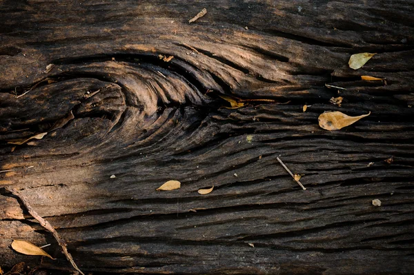 Grungy cracked wooden board by closeup textured background — Stock Photo, Image