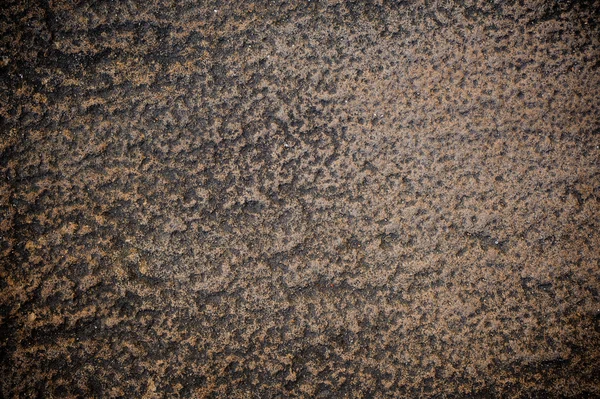 Piedra marrón claro textura de roca — Foto de Stock