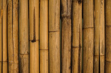 Kuru sarı bambu çit arka plan