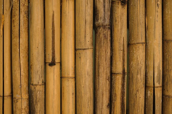 Seco amarelo cerca de bambu fundo — Fotografia de Stock