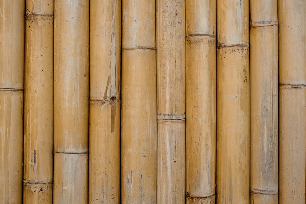 Padrão de textura de bambu backgroung horizontal — Fotografia de Stock