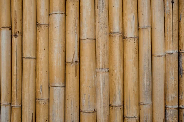Padrão de textura de bambu backgroung horizontal — Fotografia de Stock