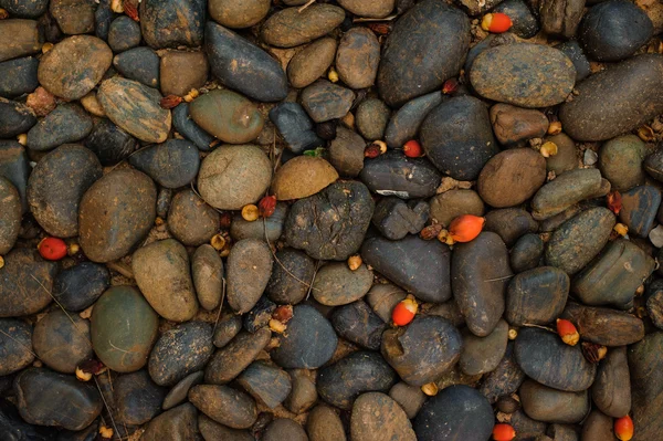 Fondo abstracto de piedras redondeadas con bayas brillantes — Foto de Stock