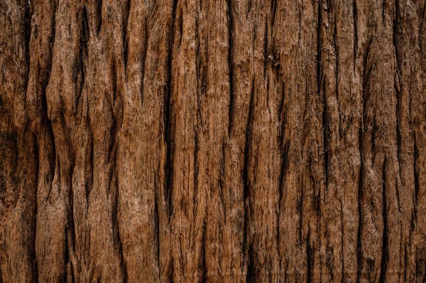 Grungy gebarsten hout door close-up getextureerde achtergrond — Stockfoto
