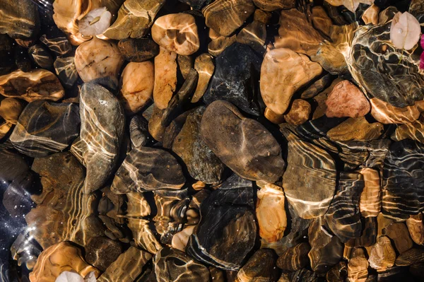 Pebbles coloridos sob a água na costa — Fotografia de Stock