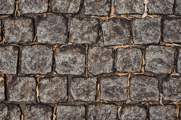 Fondo de baldosas de piedra gris — Foto de Stock