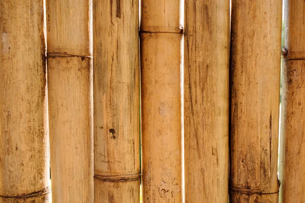 Seco amarelo cerca de bambu fundo — Fotografia de Stock