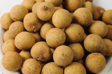 taze longan veya mata kucing