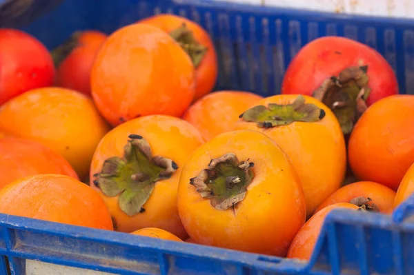 Closeup of a fruit crate with lots of freshly picked persimmons