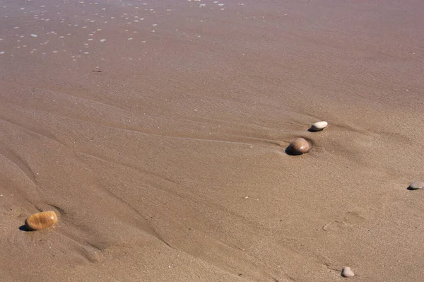 Some rocks washed away by the push of the waves remain in the sand on the beach. Copy space