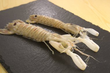 Tahta levhadaki bir çift kadırga (Squilla Mantis) numunesinin ayrıntıları
