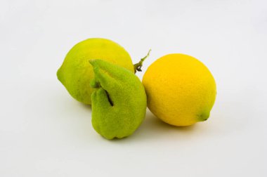 Üç olgun limon resmi, ikisinin yanında normal, beyaz arka planda Eryophid akarsuarının sebep olduğu bir hastalık yüzünden deforme olmuş.