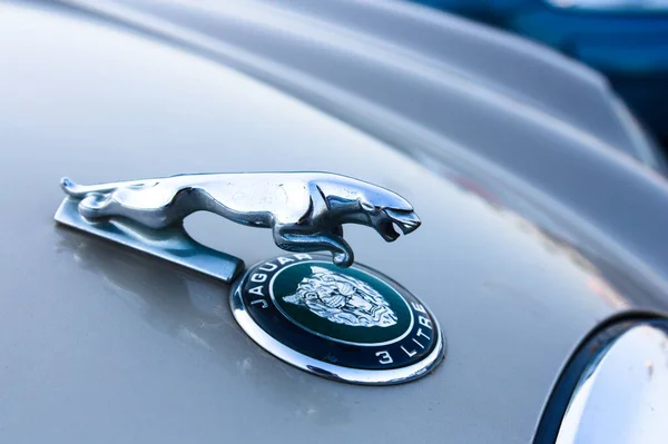 Emblema Metal Marca Automóviles Jaguar Que Marca Coloca Parte Delantera — Foto de Stock
